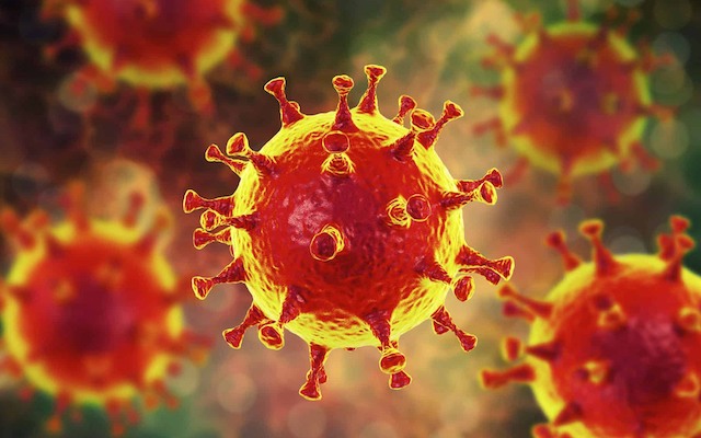 Покровский: иммунитет людей с ВИЧ может быть лучше готов к COVID-19
