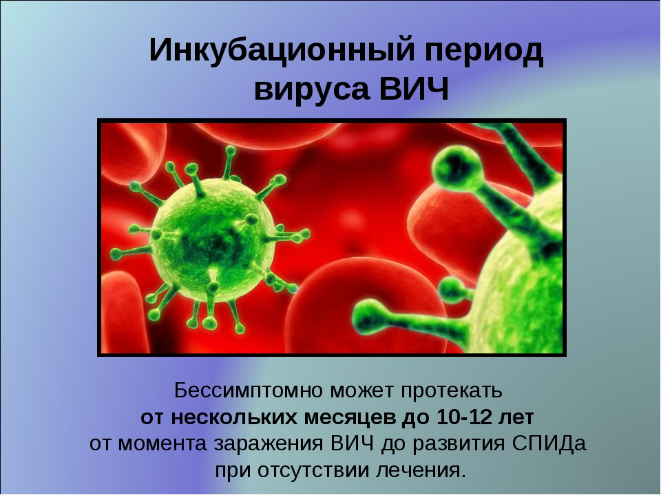 Каковы пути заражения человека вирусом иммунодефицита. Инкубационный период ВИЧ И СПИД. Длительность стадии инкубационного периода ВИЧ инфекции. ВИЧ-1 И ВИЧ-2 инкубационный период. Стадия инкубации ВИЧ инфекции картинки.